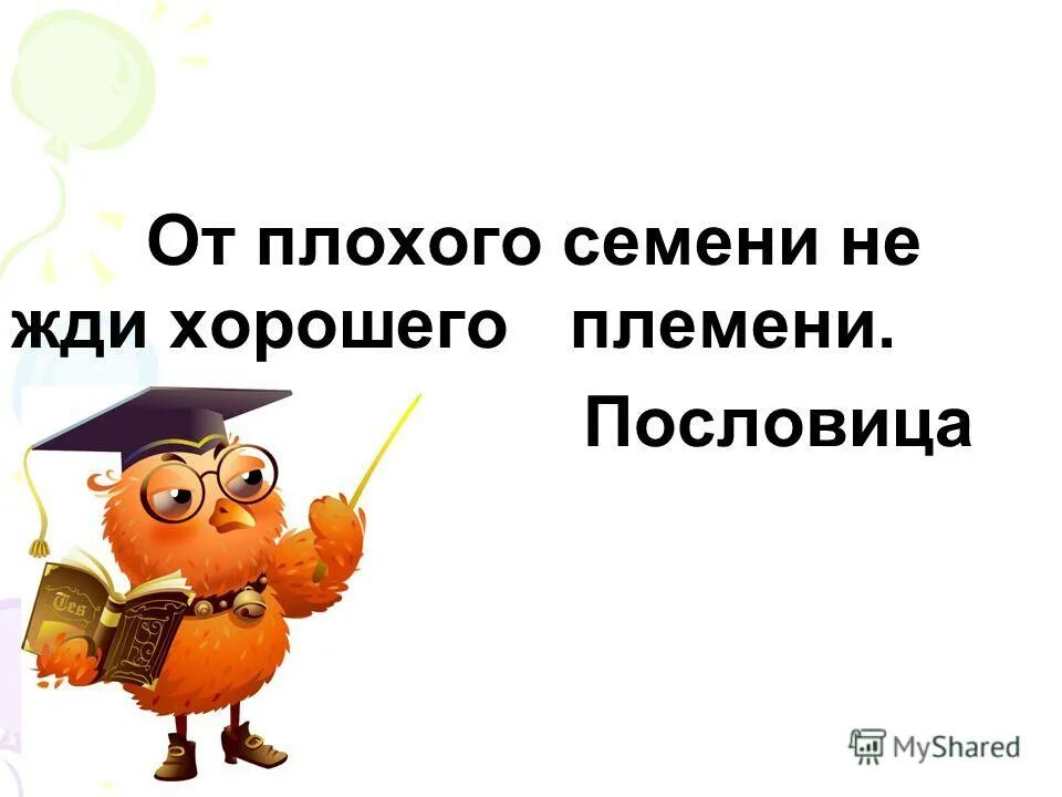 Ни ж д и. От худого семени не жди доброго племени. От плохого семени не жди хорошего племени. Поговорки о племени. Пословицы про племя.