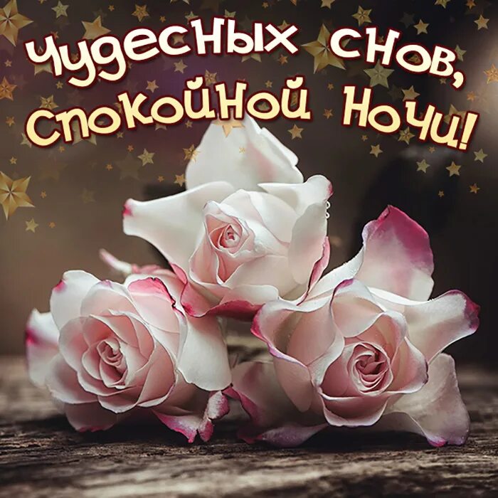 Спокойной ночи необычные пожелания женщине красивые нежные. Спокойной ночи цветы. Цветы с пожеланием спокойной ночи. Спокойной ночи картинки красивые. Доброй ночи с розами и пожеланиями.