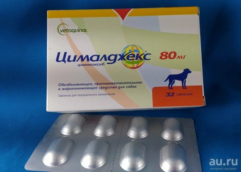 Дают ли собакам обезболивающее. Цималджекс для собак 80 мг. цималджекс для собак форма выпуска. таблетки для собак цималджекс. обезболивающее для собак цималджекс.