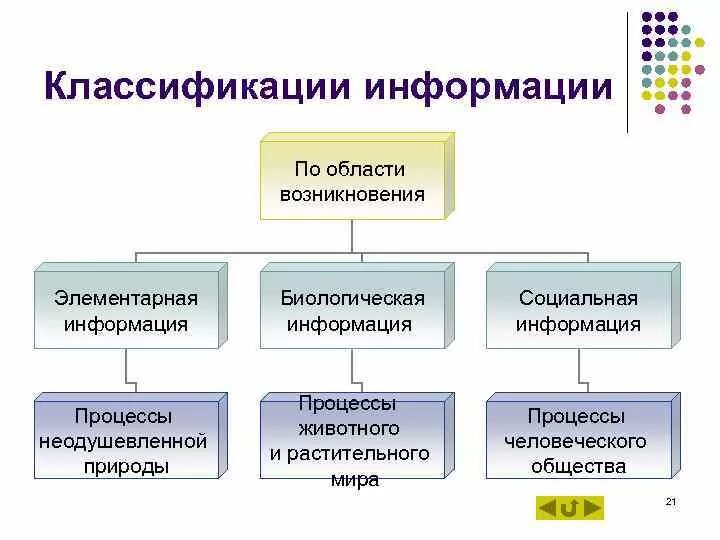 Виды информации в информационном праве. Классификация информации по области возникновения. виды информации по области возникновения. по области возникновения выделяют информацию. классификация по сфере происхождения подразделяются.