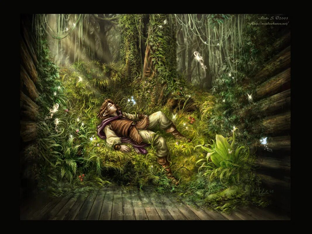 природа арт. ведьма в лесу арт. сказочный сон. лесные сны 2. лесные сны 2.
