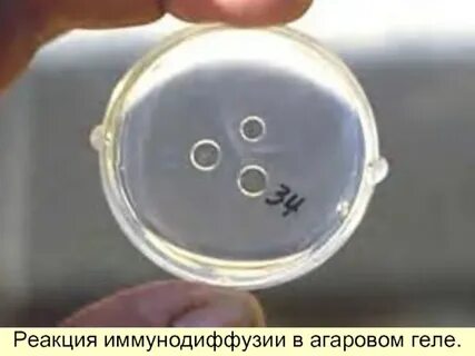 Двойная реакция