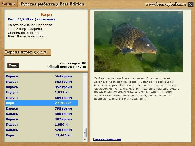 6 волхов карп. где водится карп в ленинградской области. карп костлявая рыба или нет. русская рыбалка 3 bear edition фото. карп где обитает.