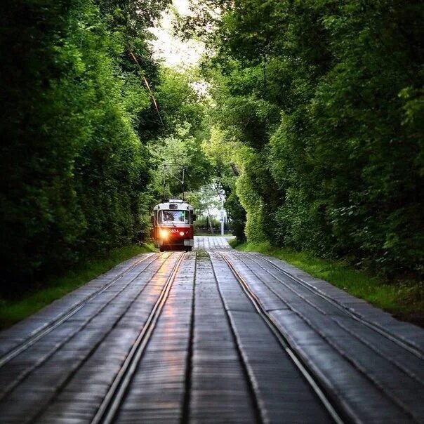 Трамвайные пути на 3 парковой. Трамвайные пути в городе. Трамвай татра чистые пруды. Трамвай москва. Трамвайные пути в москве.