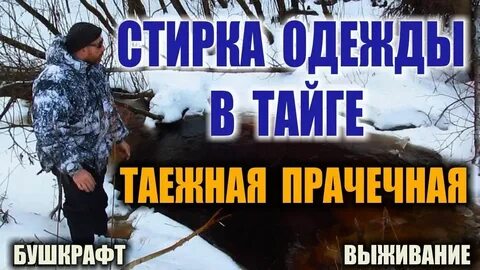 Таежный канал дзен