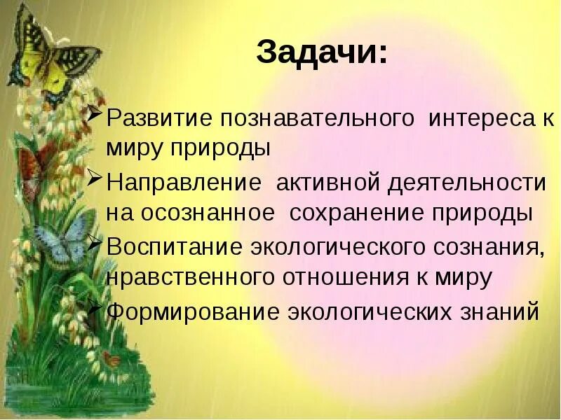 Задачи экологического воспитания дошкольников. Развивающие задачи экологии. Формирование интереса к природе. Нравственно экологическое воспитание дошкольников.