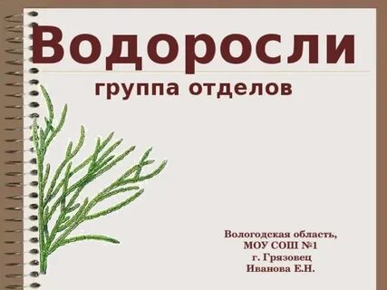 Тест по биологии водоросли