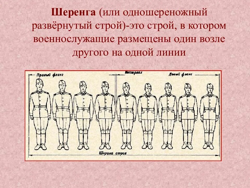 Определение строй шеренга. Двухшереножный строй элементы. одношереножный строй и его элементы. одношереножный строй шеренга и его элементы. развернутый одношереножный строй.