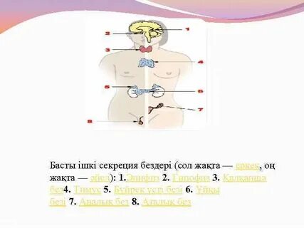 Немченко порно фильмдерде