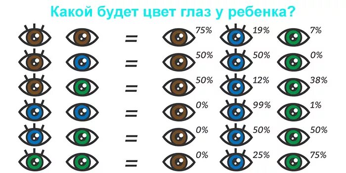 Может ли у голубоглазых родителей родиться кареглазый. Может ли у кареглазых родителей родиться голубоглазый ребенок. Какой цвет глаз преобладает при зачатии. Может ли у двух кареглазых родителей родиться голубоглазый ребенок.