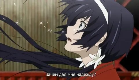 Изуми бсд