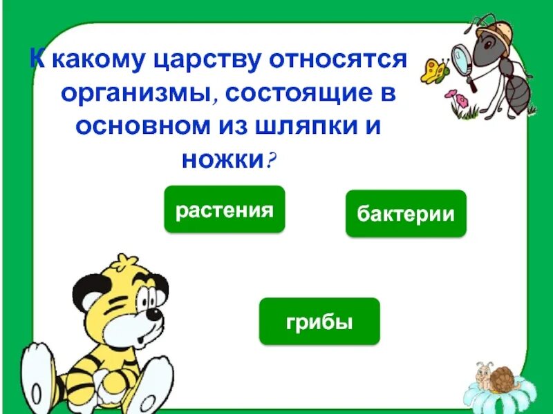 Почему человек относится к царству животных. К какому царству относятся организмы шляпки и ножки. к каким царствам относятся организмы. к какому царству относится человек. к какому царству относится волк.