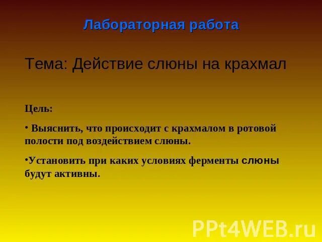 Лабораторная работа действие слюны. Лабораторная работа ферменты слюны. Лабораторная работа действие слюны на крахмал. Воздействие слюны на крахмал. Исследование действие слюны на крахмал