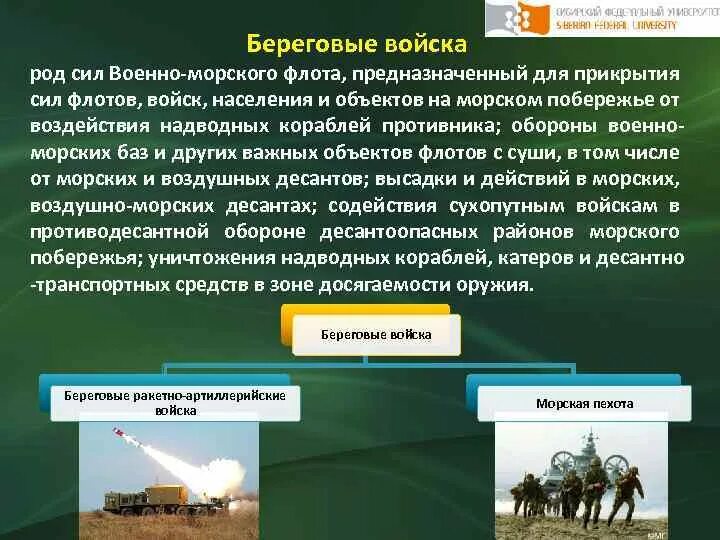 Численность род войск. Рода войск вооруженных. Рода войск вооруженных. Название воинских подразделений по количеству. Виды вооруженных сил.