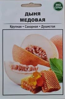 Дыня медовая описание