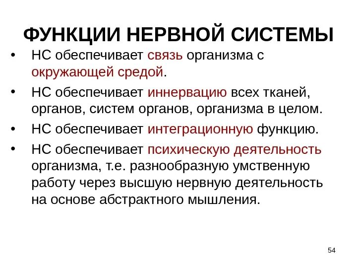 Основные функции нервной системы. Функции НС. Перечислите функции НС. Нервная система обеспечивает психическую.