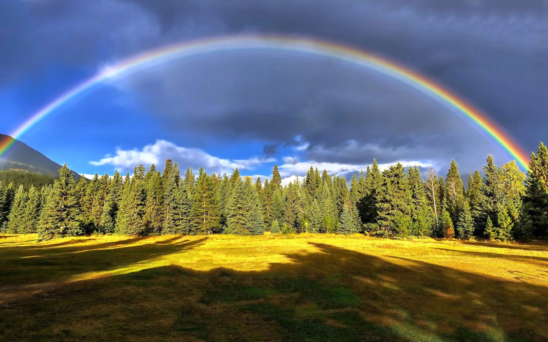 Фотографии радуги. Радуга в природе. Красивая Радуга. Красивая природа с радугой. Радуга в лесу.