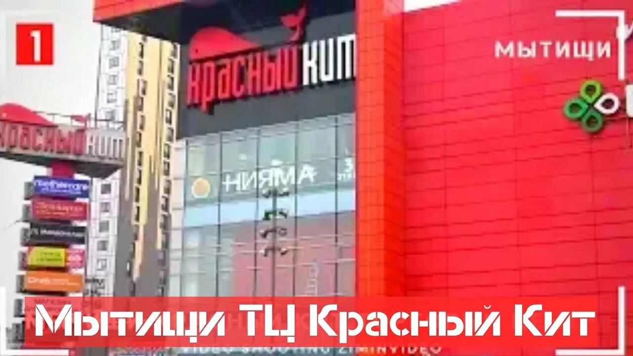 Красный кит Мытищи. Торговый комплекс красный кит Мытищи. Мебель-Строй центр красный кит, Мытищи. Красный кит Мытищи магазины. Красный кит мытищи телефон