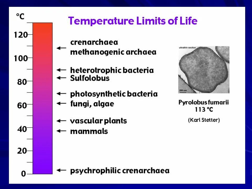 Тонометр на запястье ck-w132. Концевой выключатель kb-1p-12-l6-c. Temperature limit. Тонометр на запястье wrist blood pressure monitor ck-w132. Limit switch турция.