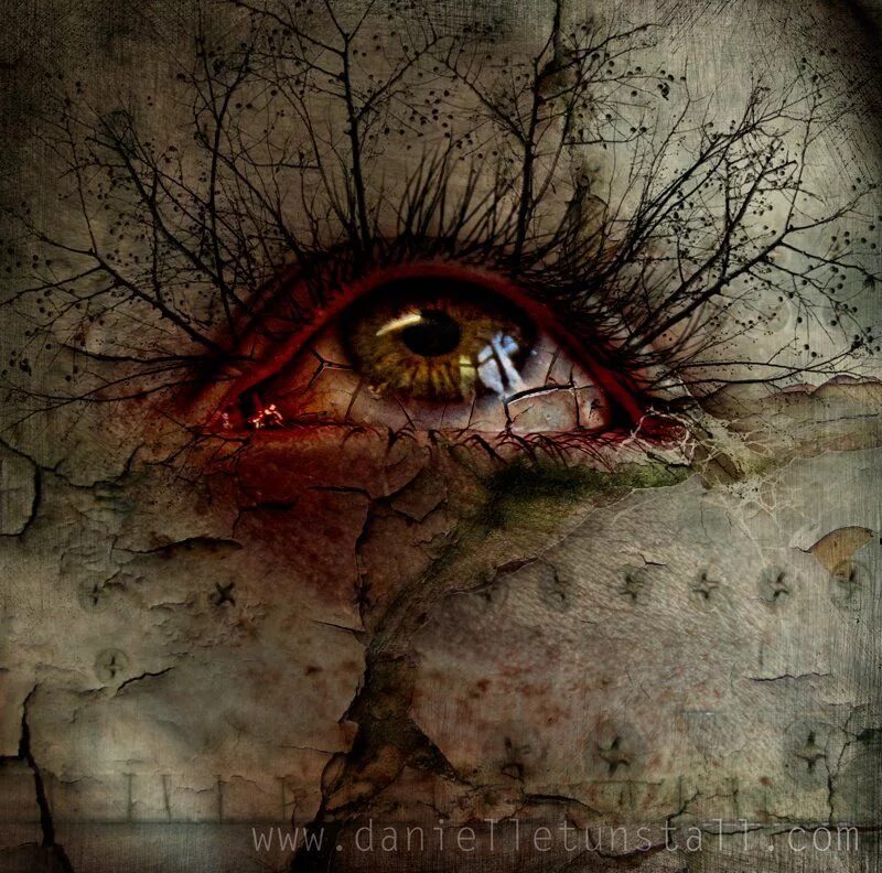 Добрый глаз редок дурной глаз в каждом. Зелёные глаза. Красивые глаза. Отражение в глазах. Глаз абстракция.