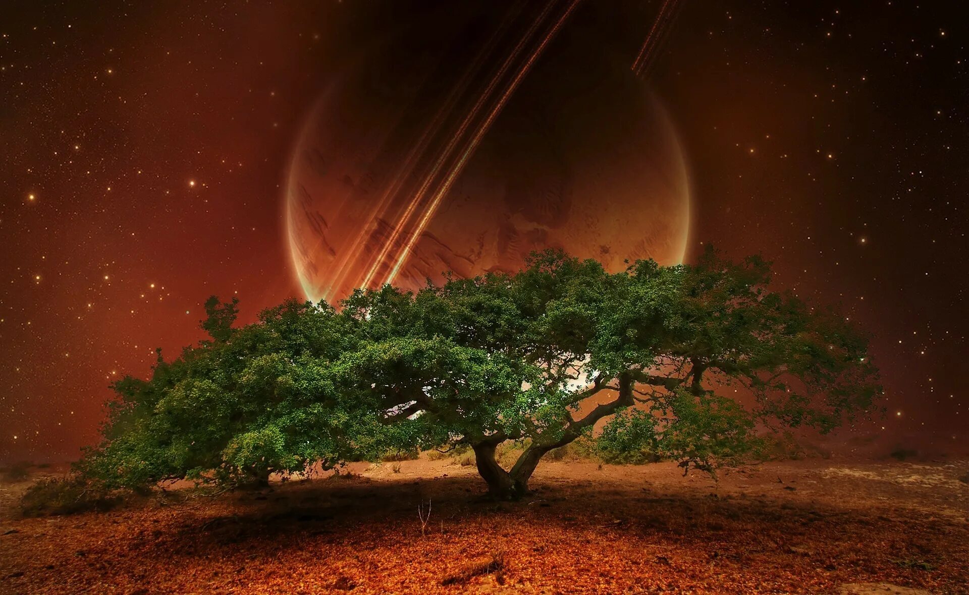 Landscape planets