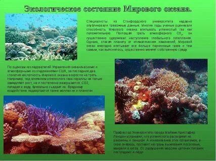 Какое море самое большое в мировом океане