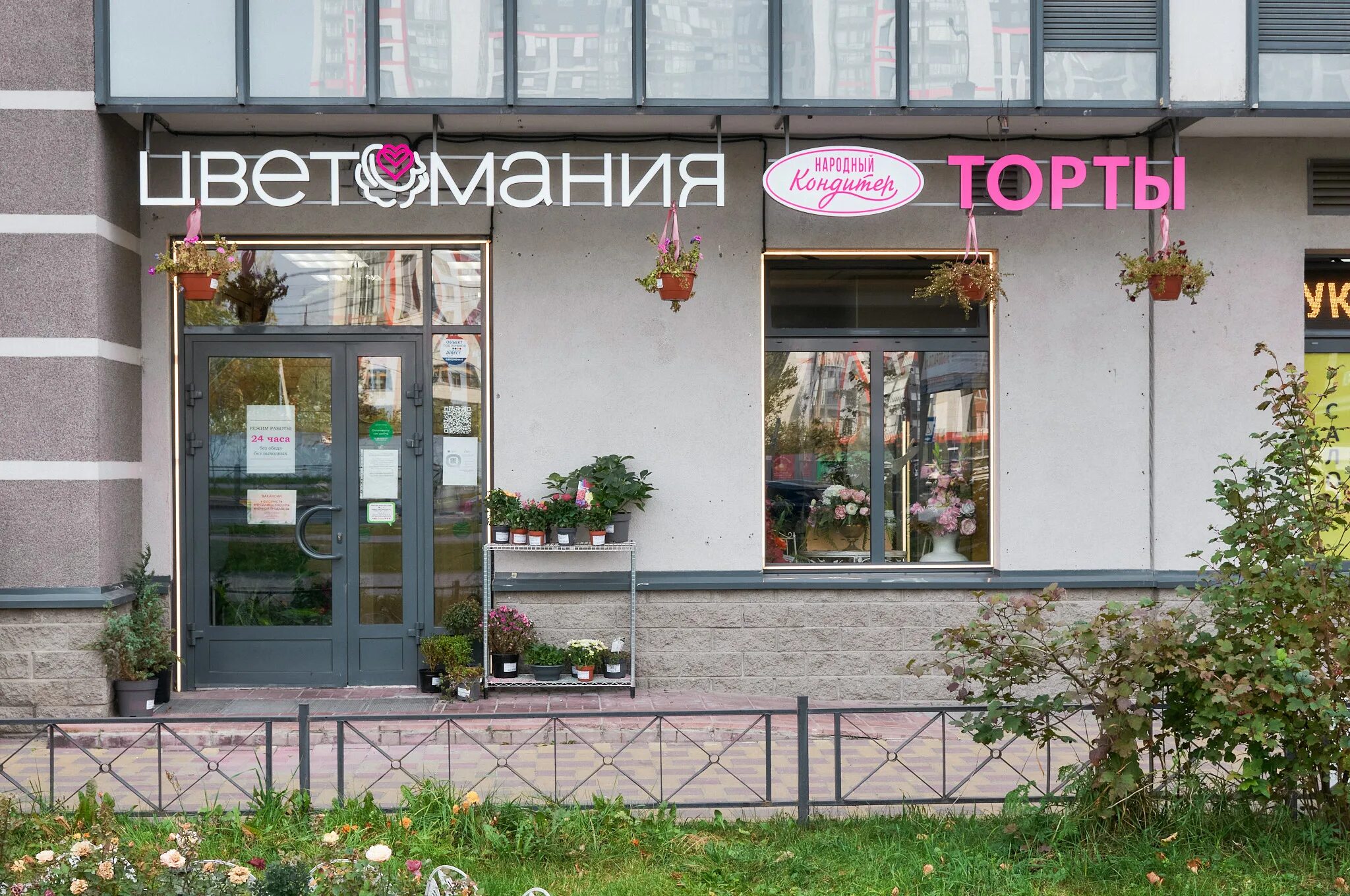 Купчино, балканская площадь, 5. Цветомания логотип. Цветомания. Цветомания питер. Цветомания логотип.