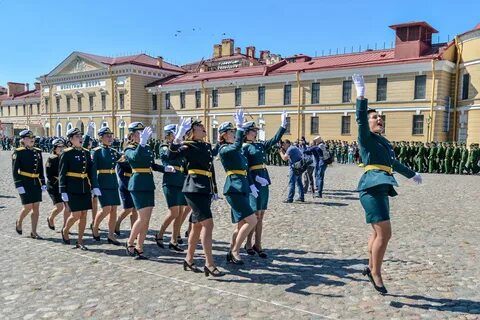 Вифк санкт петербург