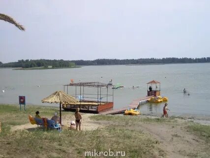 Место встречи гуселетово