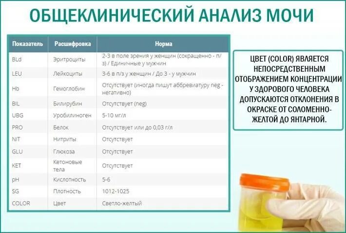 Что повышен в моче при беременности. Анализ мочи при беременности норма 3 триместр. Общий анализ мочи норма у женщин при беременности. Общий анализ мочи нормы показателей при беременности. Норма анализа анализа мочи при беременности.