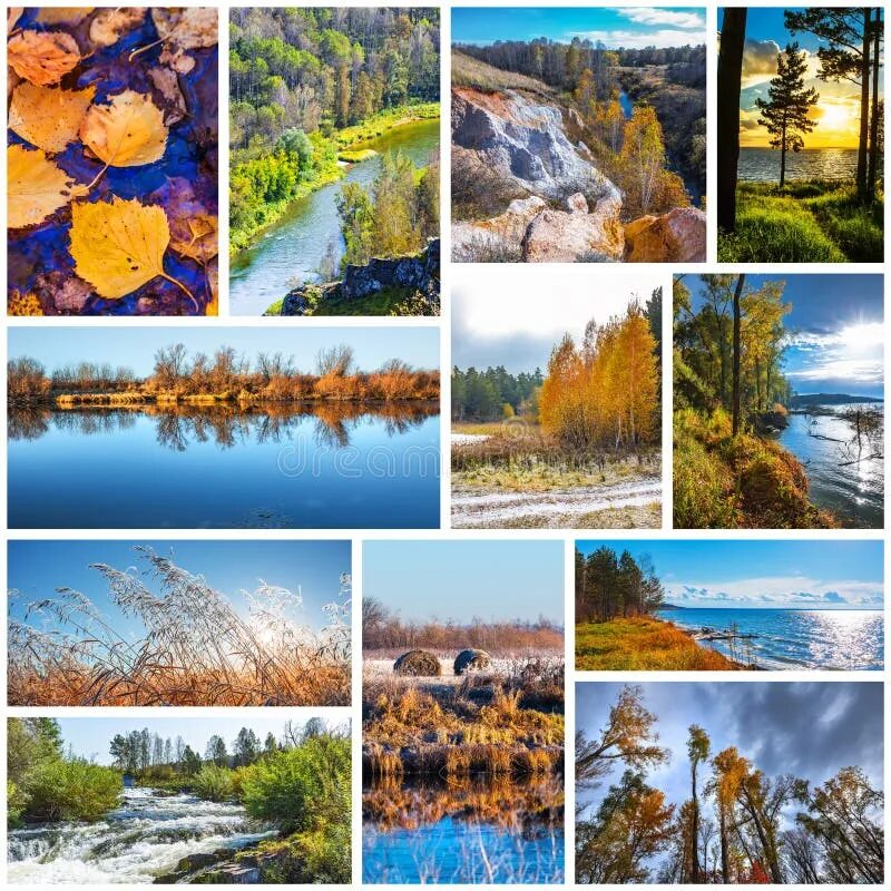 Collage of Nature Photos of the Autumn Season Stock Photo - Image of flora, natu