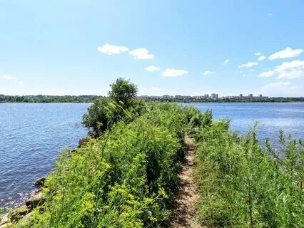 Шексна череповец
