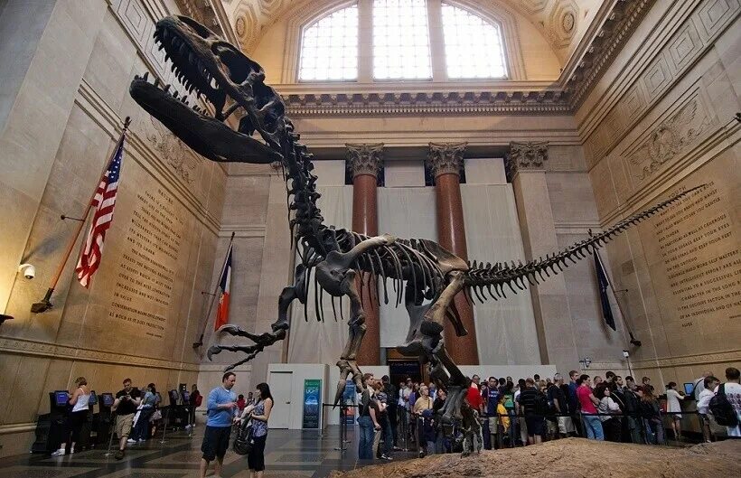 The main visitor entrance to the American Museum of Natural History, NYC. New yo