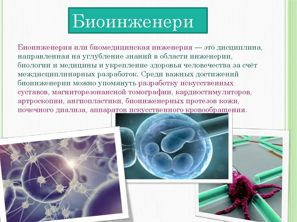 Сферы биотехнологии. Биологическая инженерия. Биотехнология в медицине. Биологическая инженерия примеры. Биоинженерия презентация.