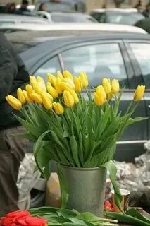 Тюльпаны в машине фото