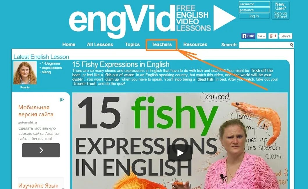 Engvid com. ENGVID. Www.ENGVID.com. ENGVID логотип.