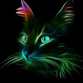 Кошка ярко