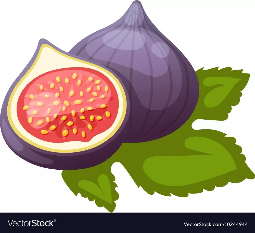 Fig figsize