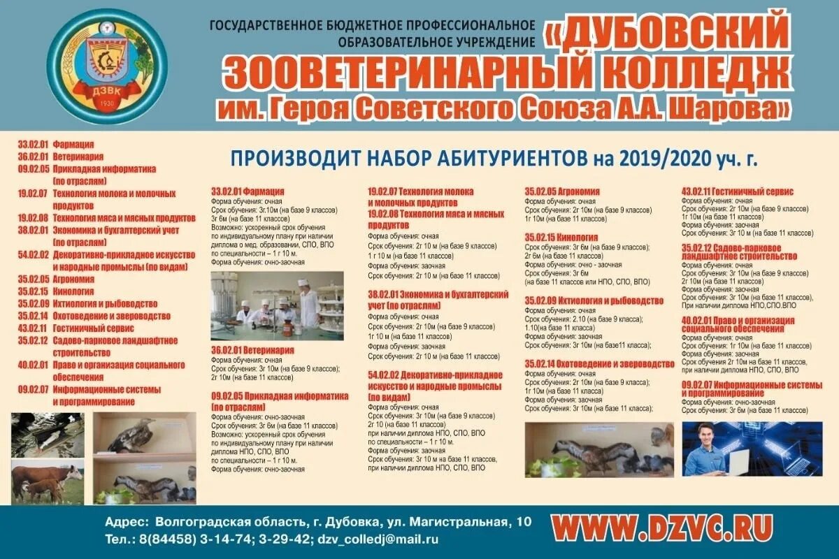 Колледж заочно можно после 9 класса. Дубовский ветеринарный техникум. Зооветеринарный колледж. Зооветеринарный колледж Дубовка Волгоградская область. Заочная форма обучения Ветеринария.