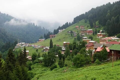 Karadeniz