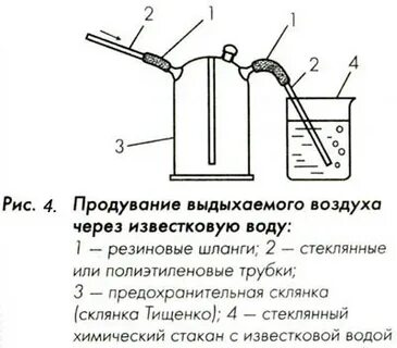 Выделившийся газ пропустили через известковую воду