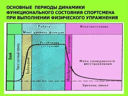 Периоды динамики