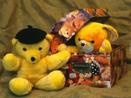 Teddys toy box