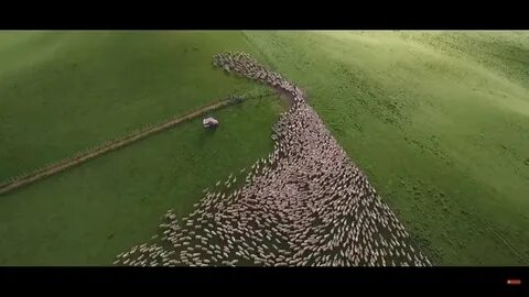 Пройти через ворота