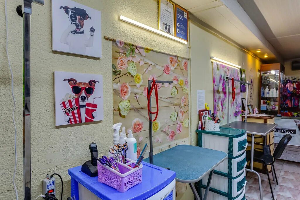 зоосалон, зоопарикмахерская зоосалон. академия груминга. зоосалон ростов. грумер ростов на дону. груминг салон вывеска.