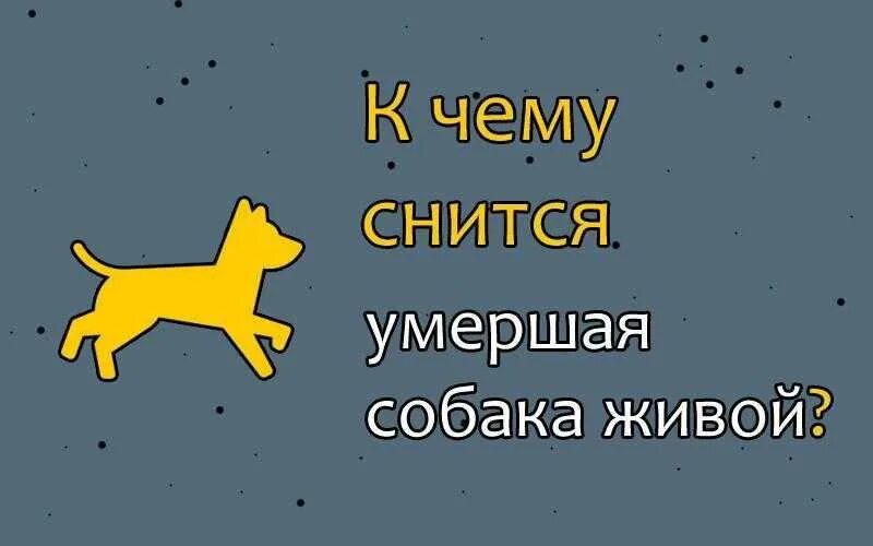 Сон умерла собака к чему снится