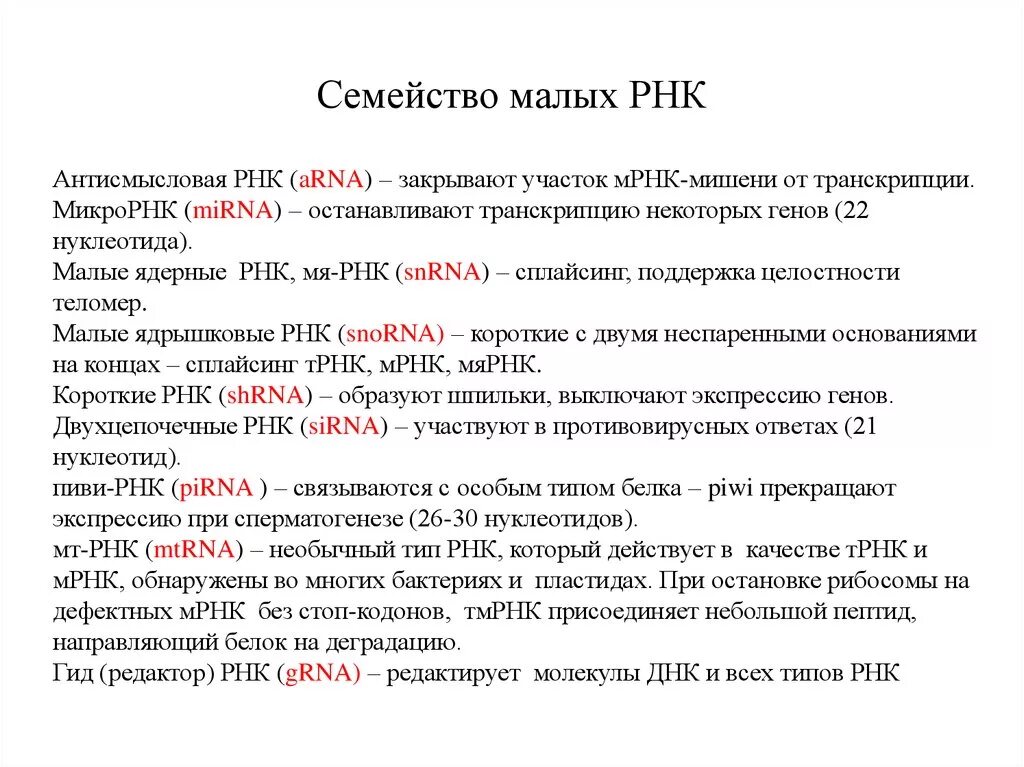 Рнк термины. Малые РНК. Малые ядерные РНК структура. Малые РНК функции. Малые ядрышковые РНК функции.