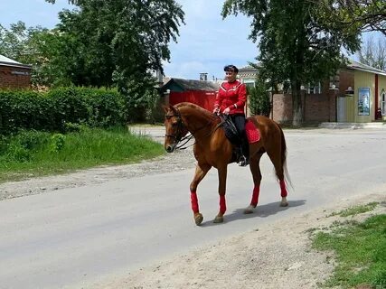 Погода в казачке