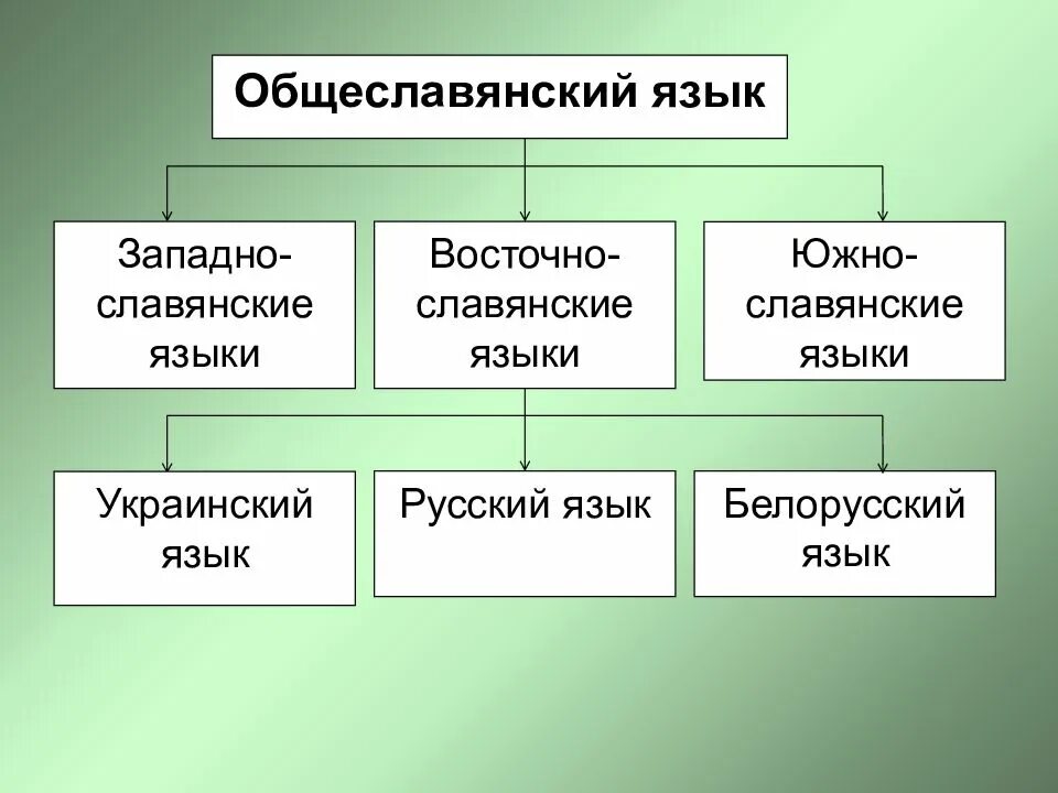 К западнославянской группе относятся. Общеславянский язык. Классификация восточнославянских языков. Праславянский Общеславянский язык это. Праславянский язык какие языки.