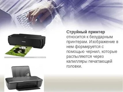 Принтер относится